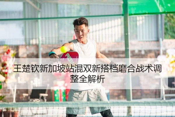 wang-chu-qin-xin-jia-po-zhan-hun-shuang-xin-da-dang-mo-he-zhan-shu-tiao-zheng-quan-jie-xi-2-658.jpg