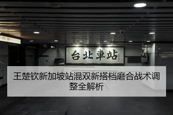 wang-chu-qin-xin-jia-po-zhan-hun-shuang-xin-da-dang-mo-he-zhan-shu-tiao-zheng-quan-jie-xi-3-520.jpg
