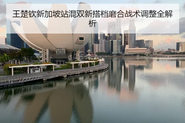 王楚钦新加坡站混双新搭档磨合战术调整全解析