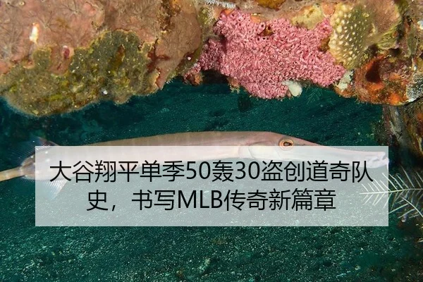 大谷翔平单季50轰30盗创道奇队史，书写MLB传奇新篇章